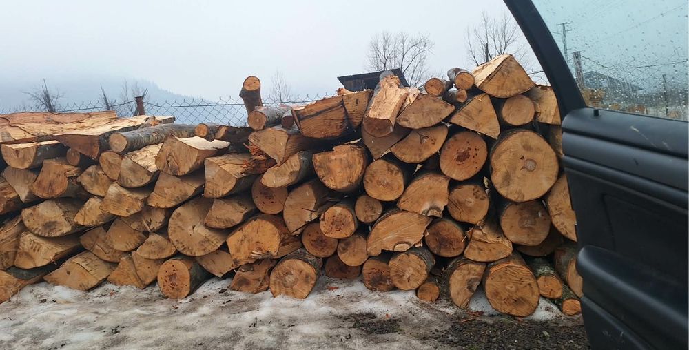 Vand lemne de brad si de fag in judetul suceava
