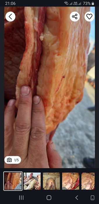 Продам Лошадей  !