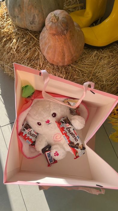 зайчик дышащий, с коробкой.