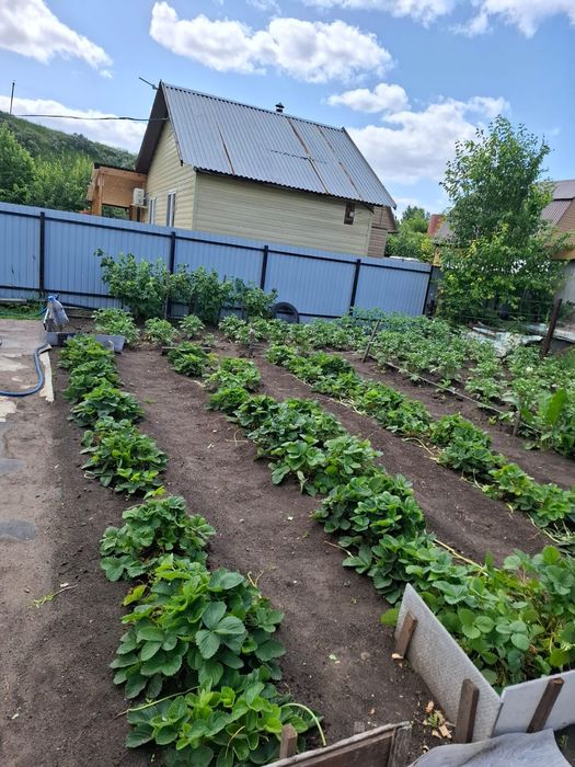 Продам дачу 4 сотки , ухоженная