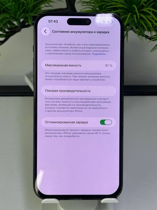 iPhone 14 Pro  Max / 81%  Менялся дисплей