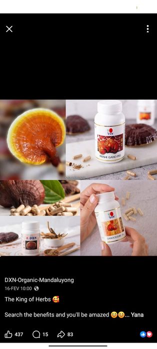 DXD brend maxsulotlari 100%tabiy Halol sertifikatiga ega.