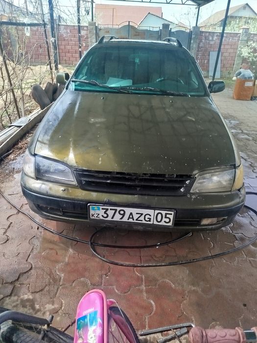 Таета карина е уневерсал