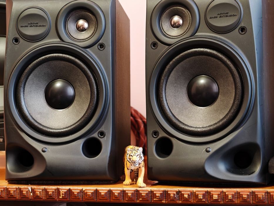 Boxe de raft Jvc SP-S200. Sunet foarte bun. Preț fix !