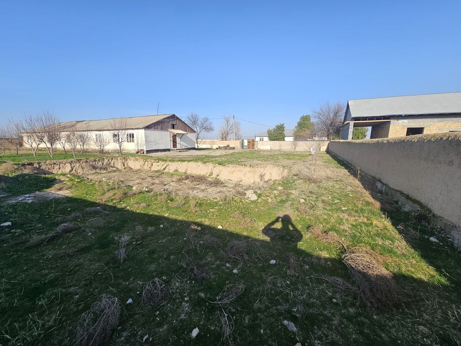 Zarbdor eski bustonda arzonga yer sotiladi