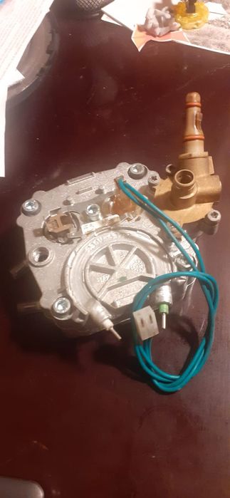 Răsnită rhea second