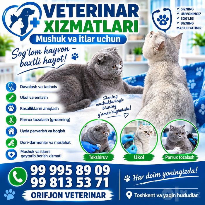 Mushuk boqish va davolash xizmati
