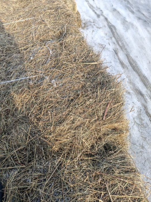 Продам сено в тюках, в рулонах
