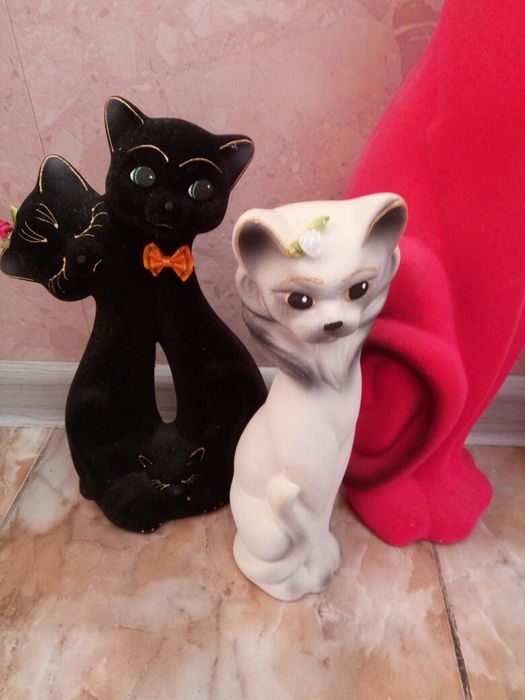 Кошки бархатные разные