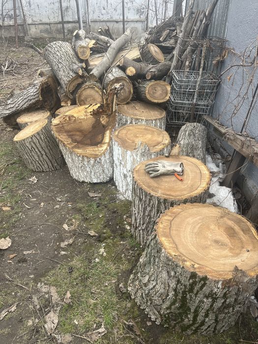 Продам орех ствол