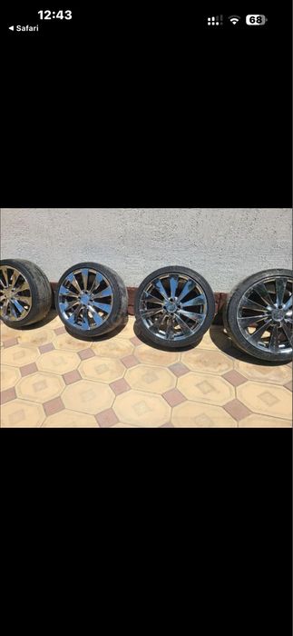 Rays Versus BL-10 Genoma