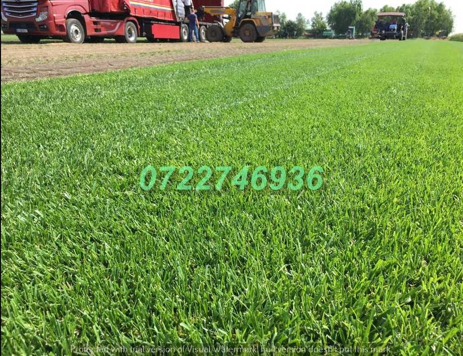 Gazon Verde Intens pentru Amenajări Profesionale