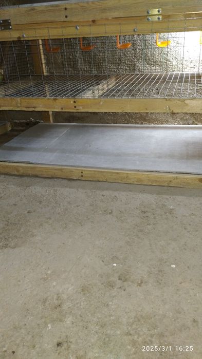 BROYLER JO'JA boqish uchun Kletka