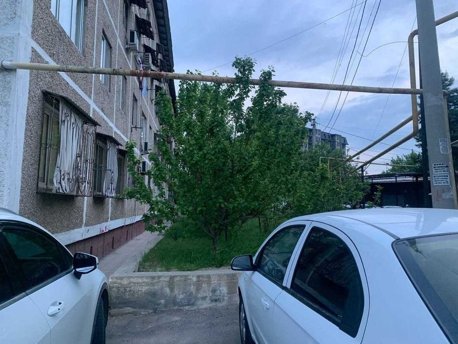 Продаётся Гулобод 32-26