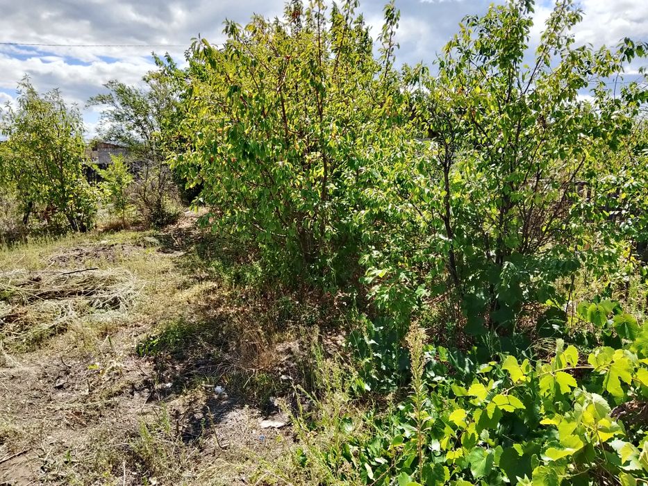 Продам дачу возле Кенжекольского моста