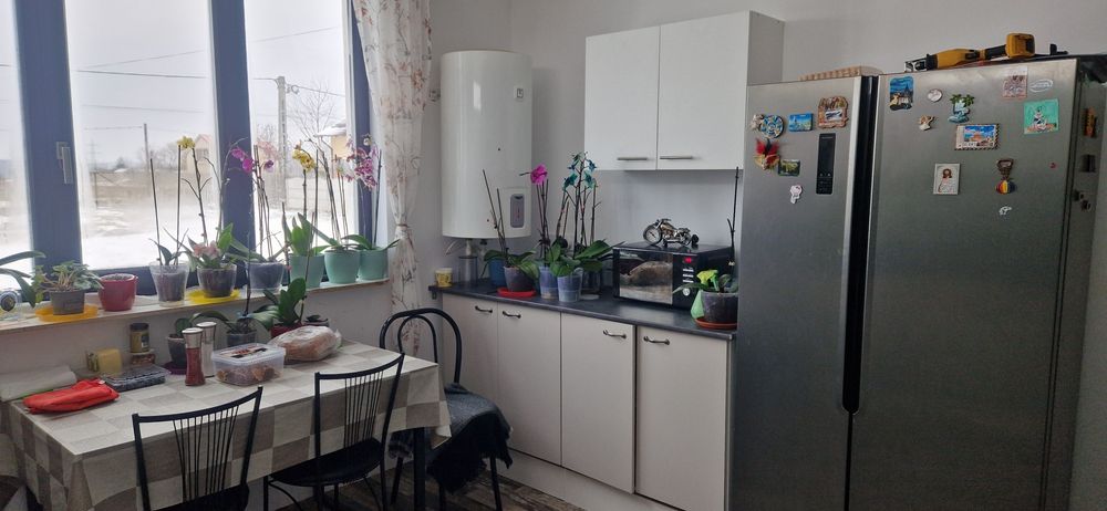 Vând casa la vârtina Balș, 1 h teren ,200m² casa.