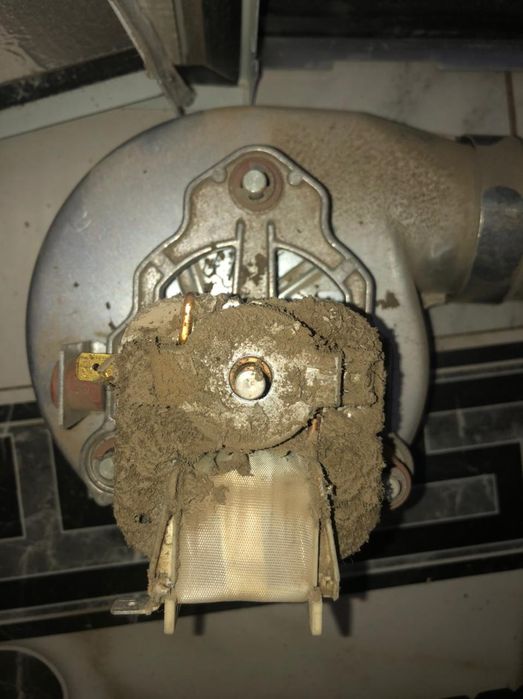 Ремонт газовых котлов протерм бакси