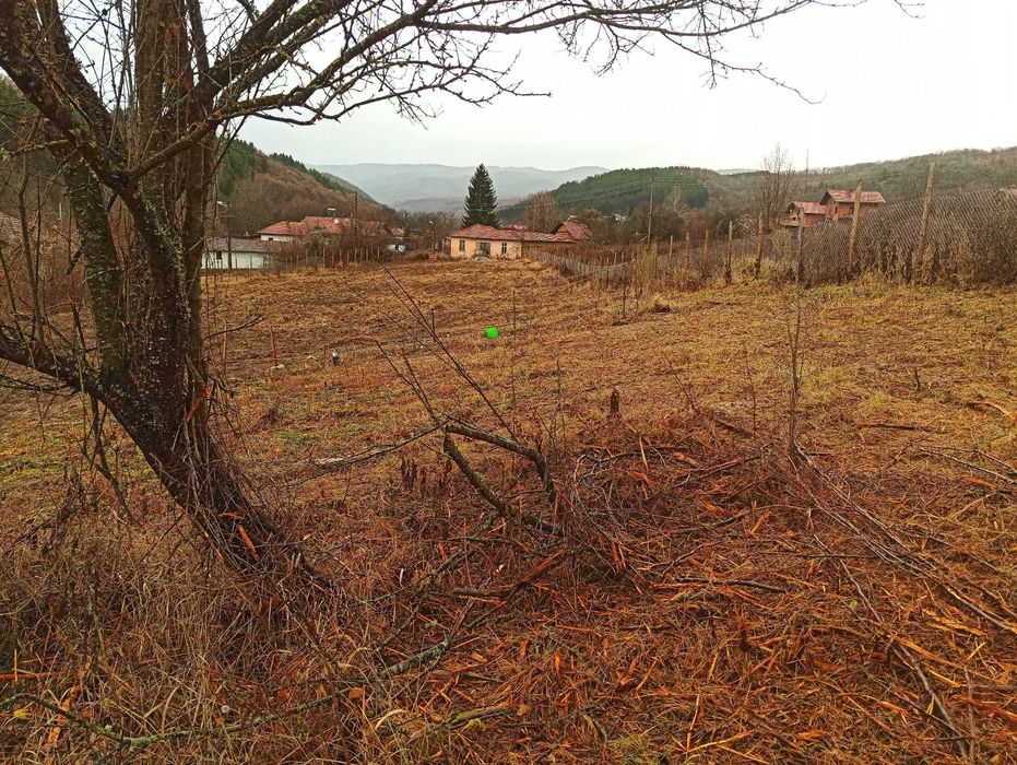 Продава се Земеделски имот в с. Згурово, Област Кюстендил -  кв.м за 3825 €/дка - Снимка #8