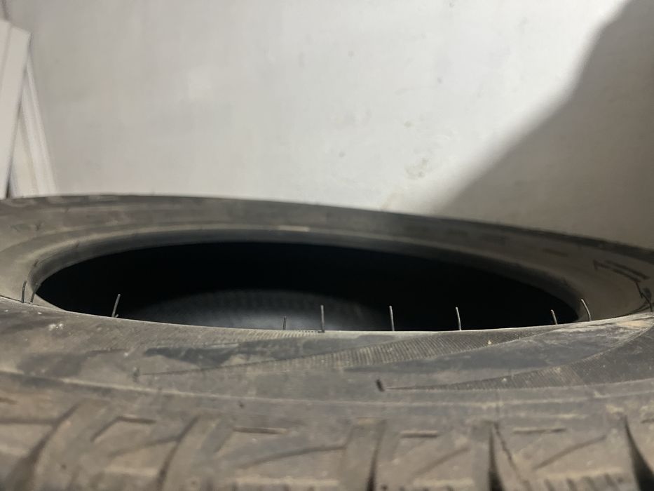 Шины зимние. snow Lion