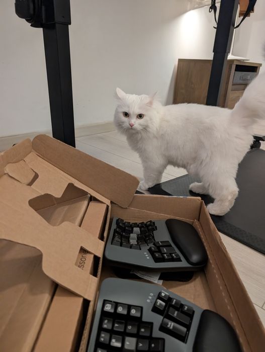 Split keyboard Tastatură Kinesis Advantage 360 Pro ergonomică, switch-uri silențioase, cu cutie