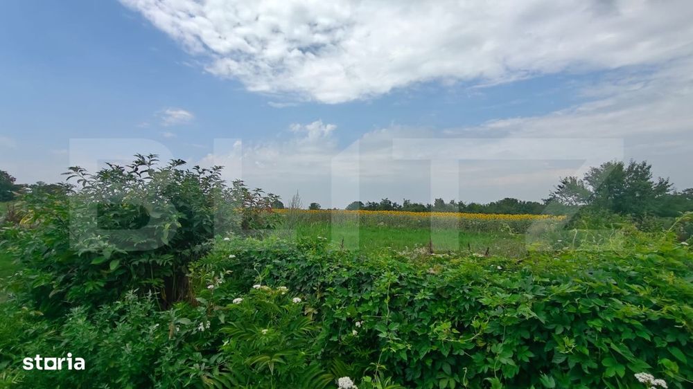 Teren parcelat pentru constructii, 5054.03 mp, zona Cornesti