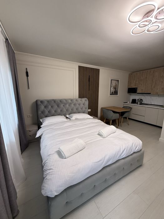 Regim Hotelier Studio/Apartament