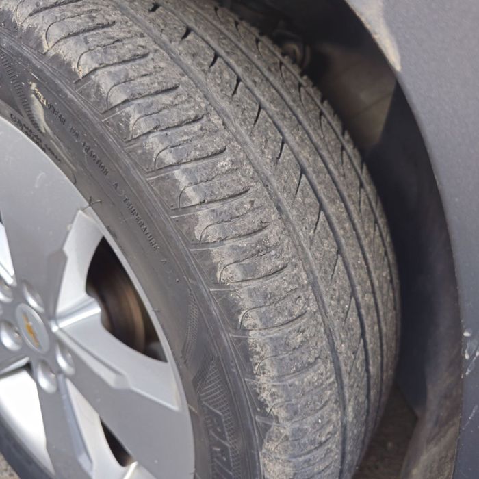 Продам орландо Orlando