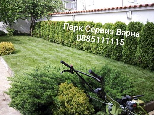 Професионална грижа за вашата градина.Косене,чистене, рязане на опасни