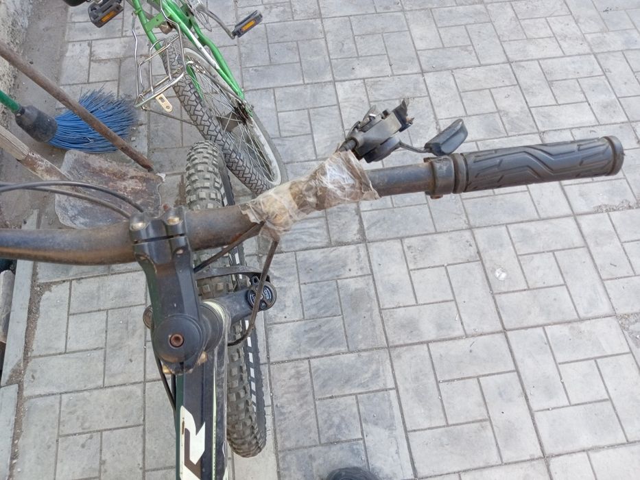 Продам 2 велика состояние норм