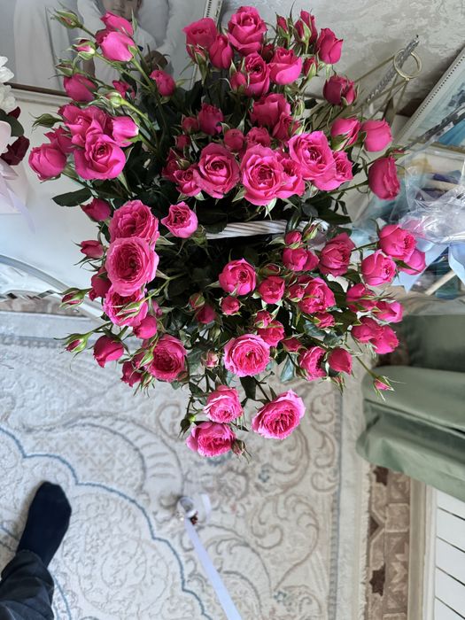 Продам цветы уральск