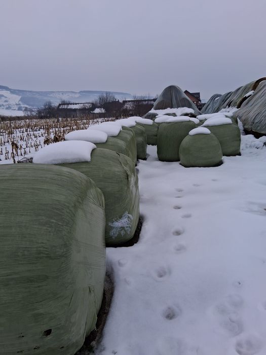 Vând baloti de lucerna și ghizdei.