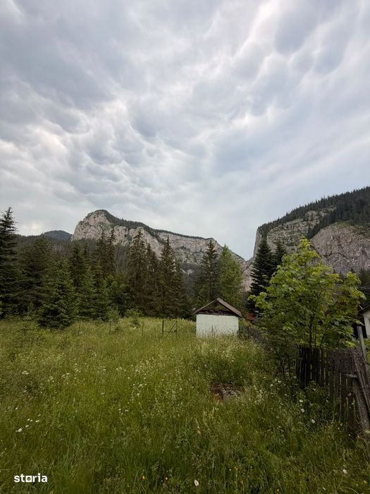 Teren intravilan de vânzare în Lacu Roșu – panoramă spectaculoasă