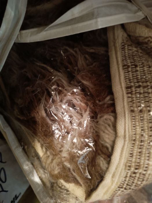 Губери три броя различни цвята