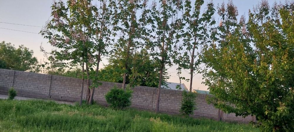 тезда сотамиз участкамиззи