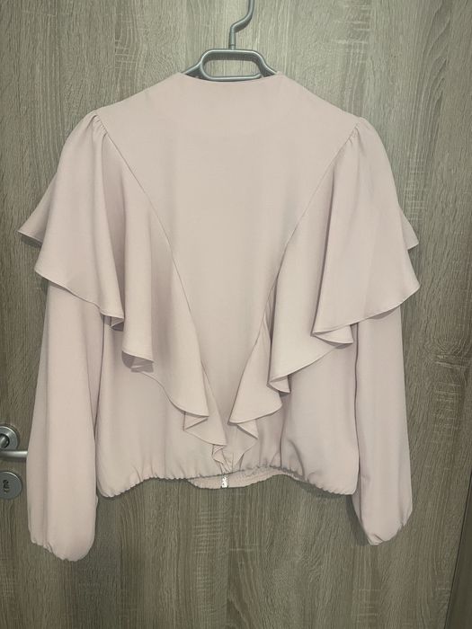 Jacheta stradivarius