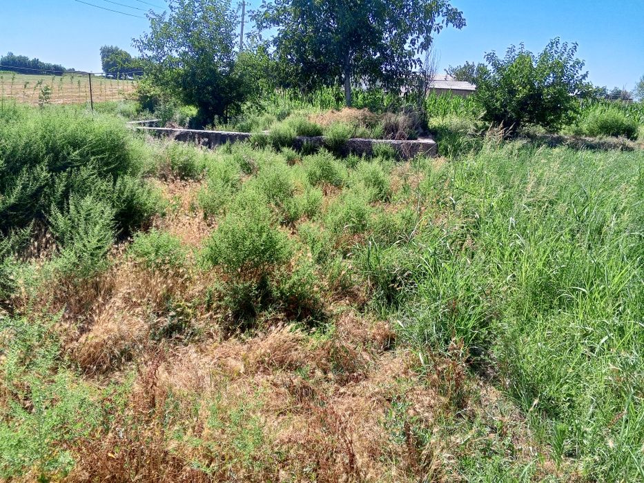 Ер сотилади 10 сотих