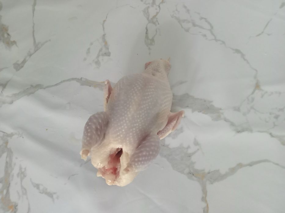 Продам свежее перепелиное  мясо