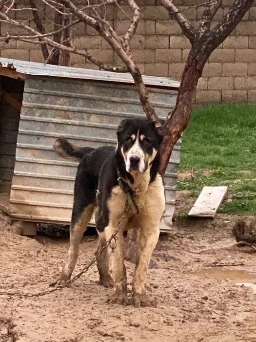 Әйелдер киетін колготки, трусики, шұлық