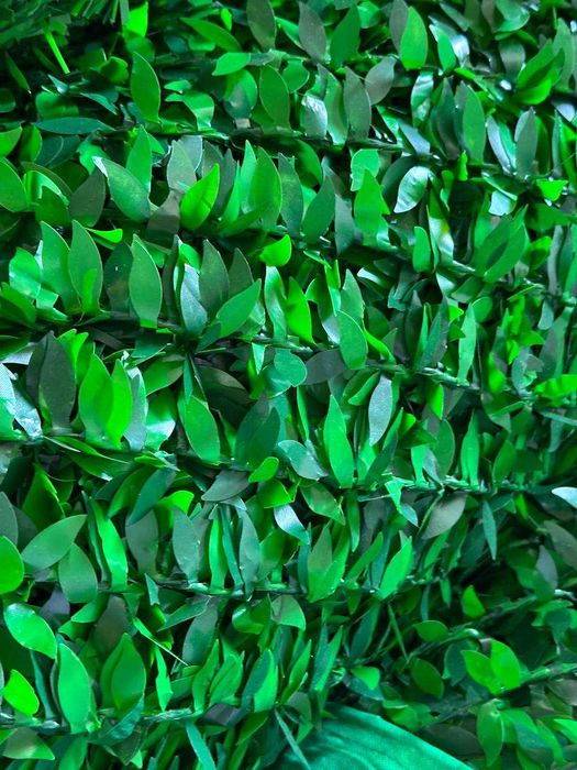 Баргли Забор Еко Забор Bargli   Оптом