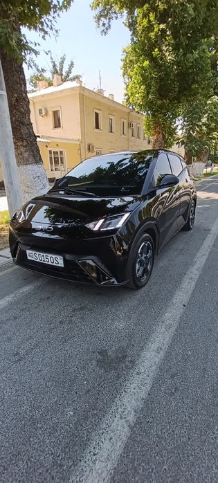 BYD Seagull 2024