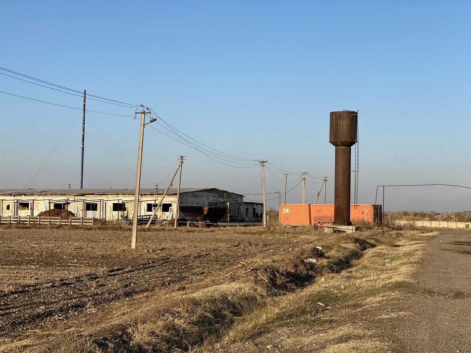 Продается земля 25 гектаров частная собственность(не 49 лет аренды)