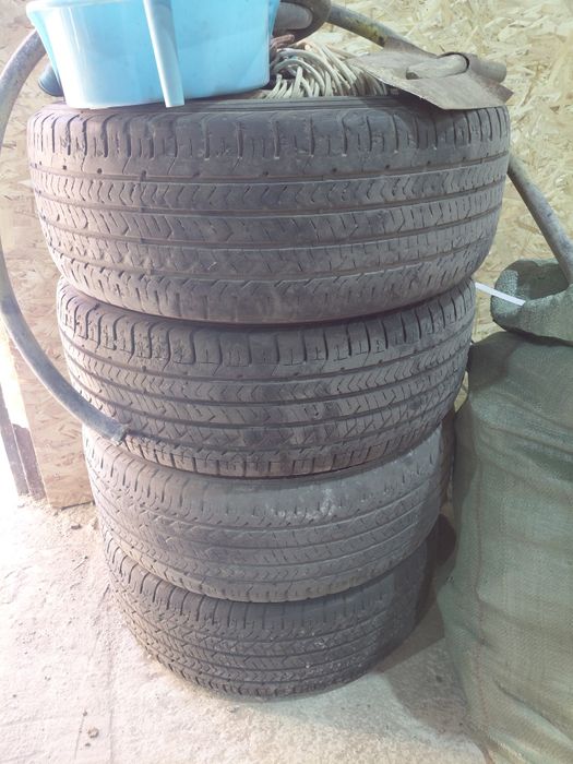 Камриға покрышка,қалада тұр