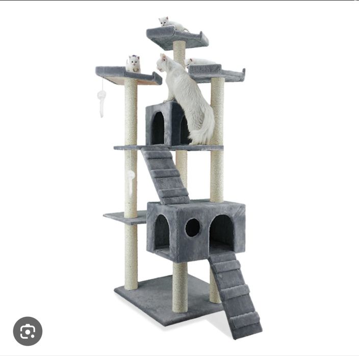 Ansambu pentru pisici