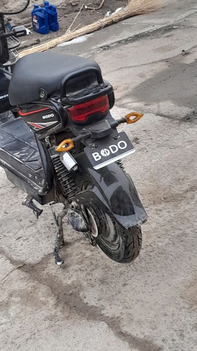 Yangi va arzon squter