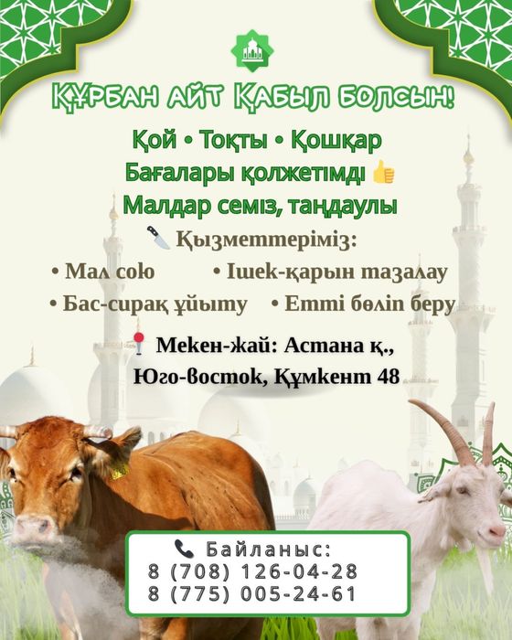 Кой токты сатылады