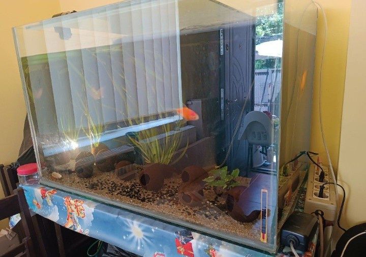 Acvariu pești 285 L