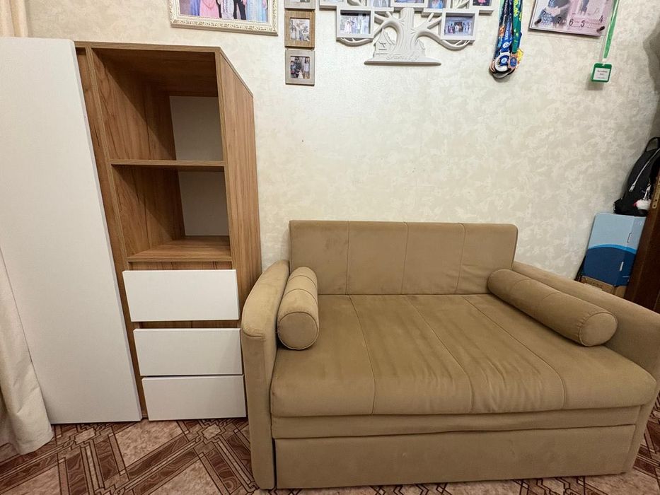 Диван-раскладушка, шкаф