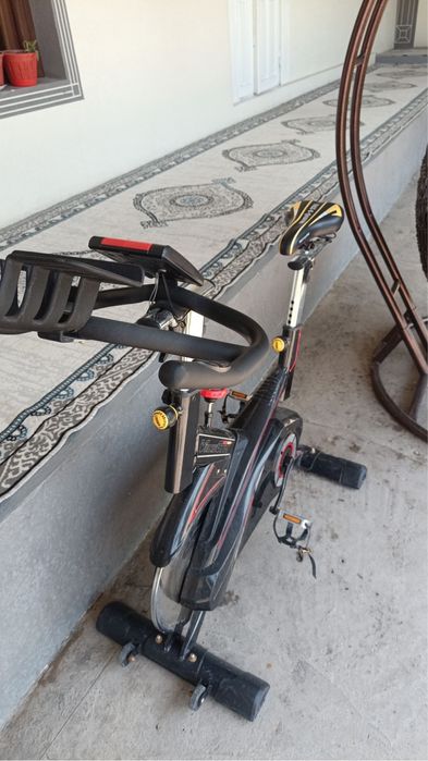 Velo trinajor ……