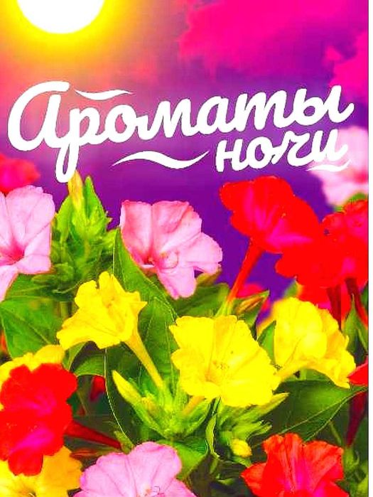 Продам семена МИРАБИЛИС ночная красавицаа