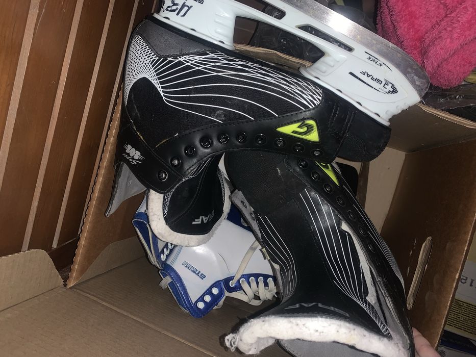 Коньки коньки разные